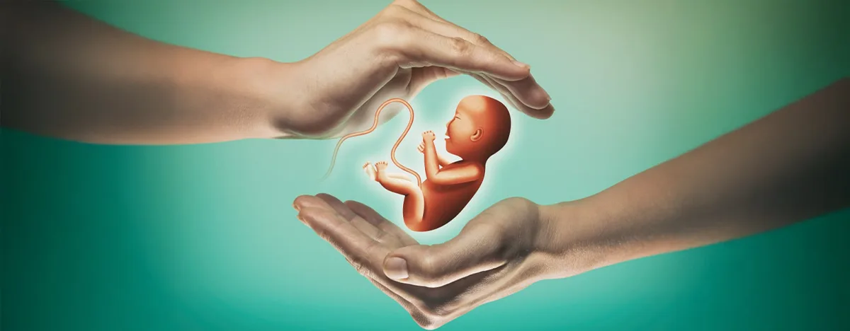 Yigʻilgan Tuxum Hujayralari Bilan IVF (Pooling Usuli)